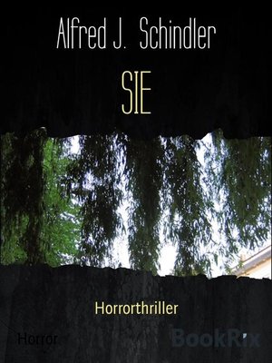 cover image of SIE